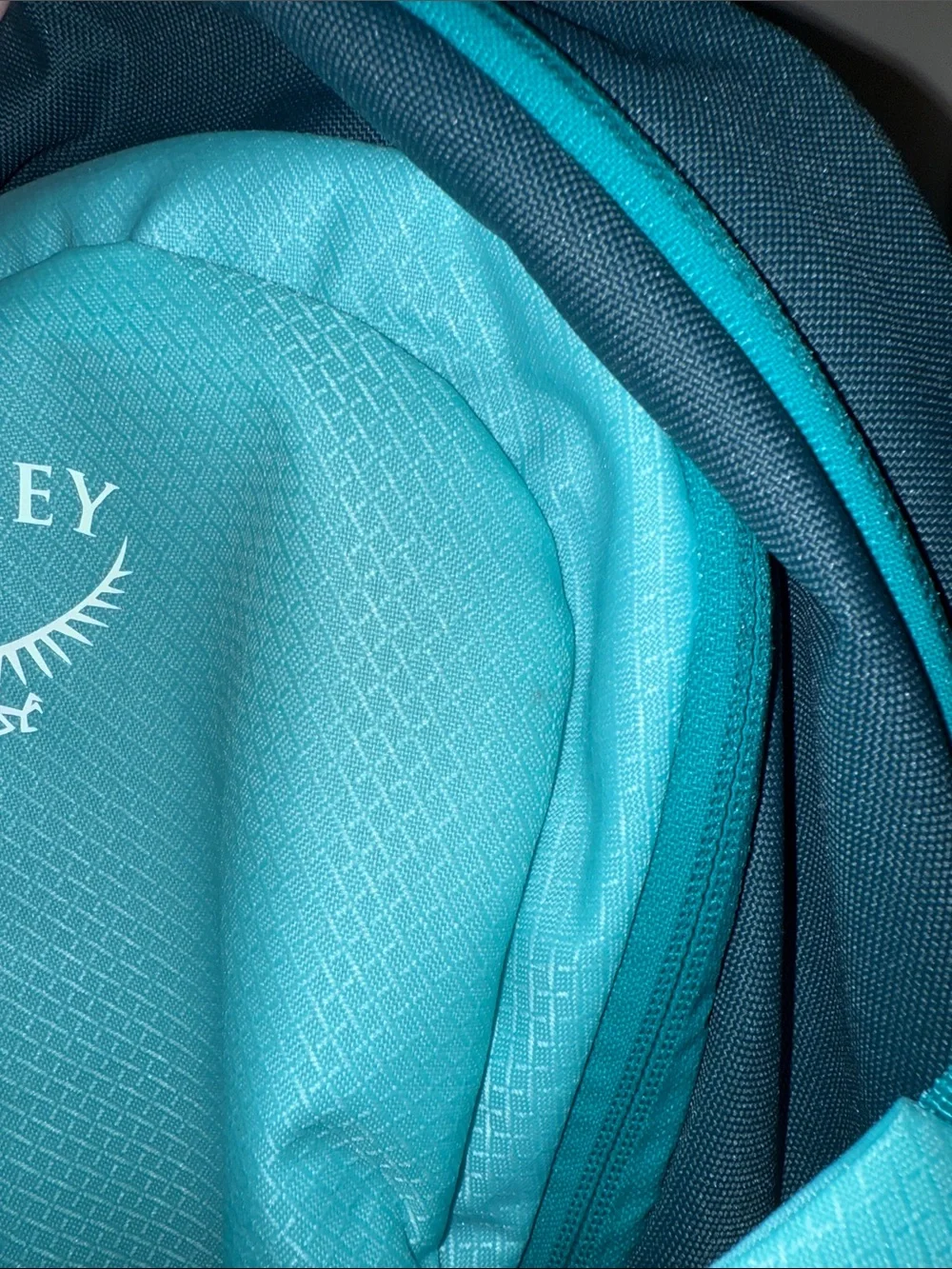 OSPREY Teal and Dark Teal Backpack - Daypack Day Lite Plus